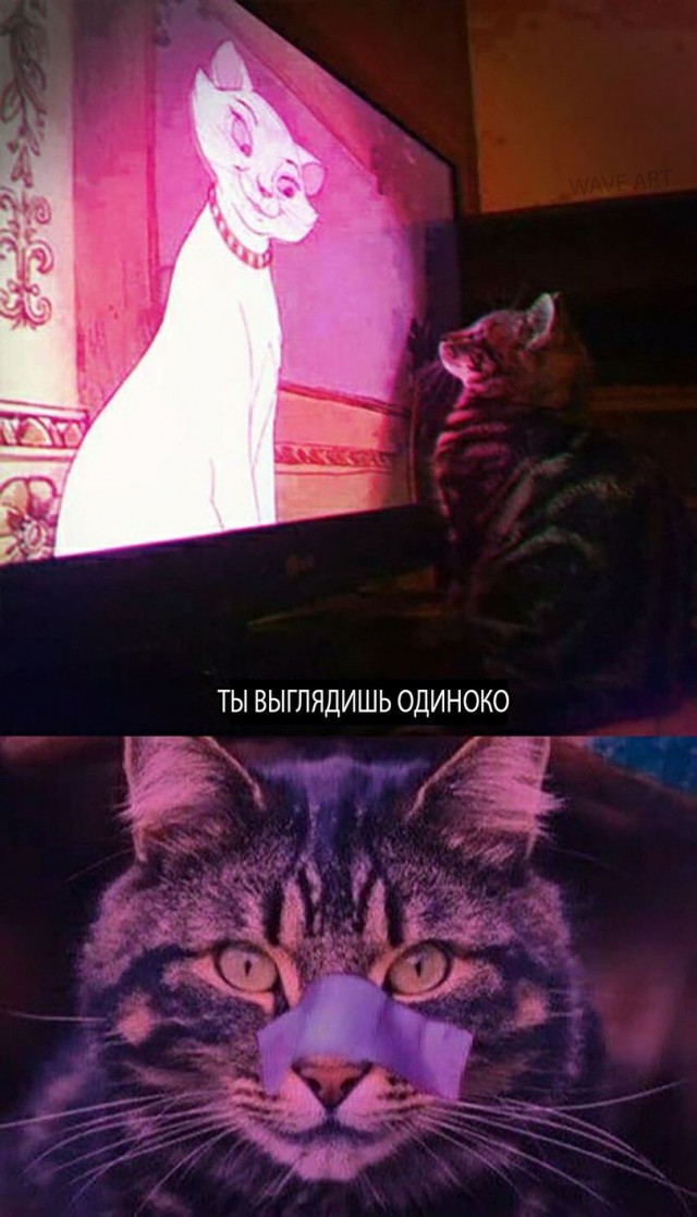 Немного картинок на ночь