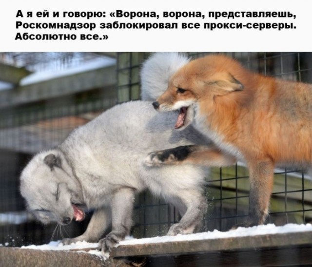 Картинки для деградации 202 (разной степени свежести)