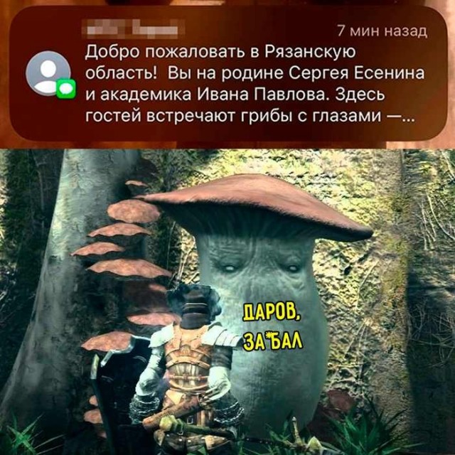 Картинки для деградации 214 (разной степени свежести)