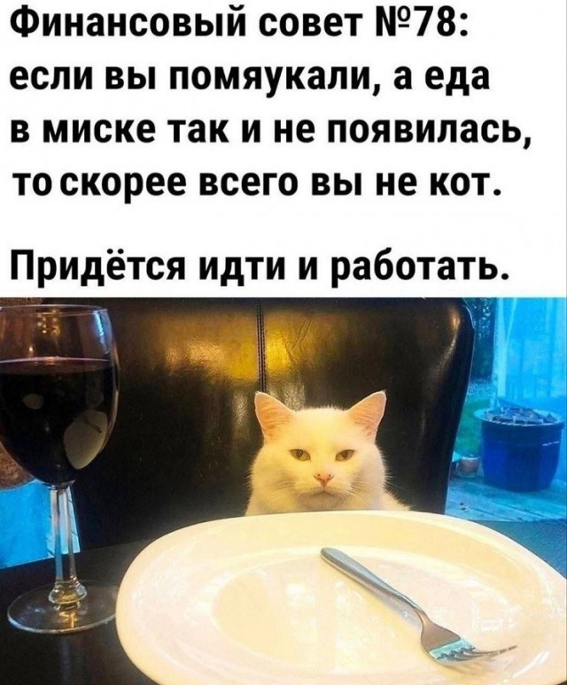 Картинки для деградации 237 (разной степени свежести)