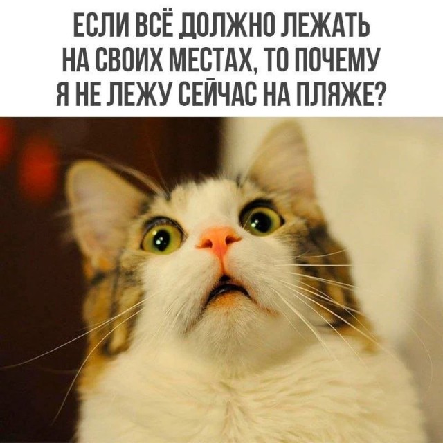 Немного картинок в четверг