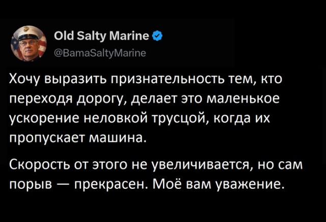 Благородарность такому пешеходу