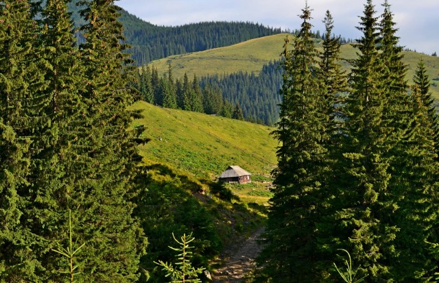 Гуцульские Карпаты