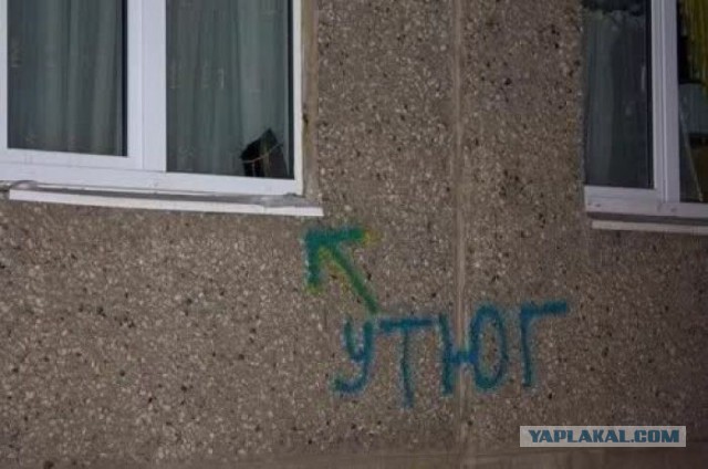 В питерских утюгах обнаружены китайские «жучки»
