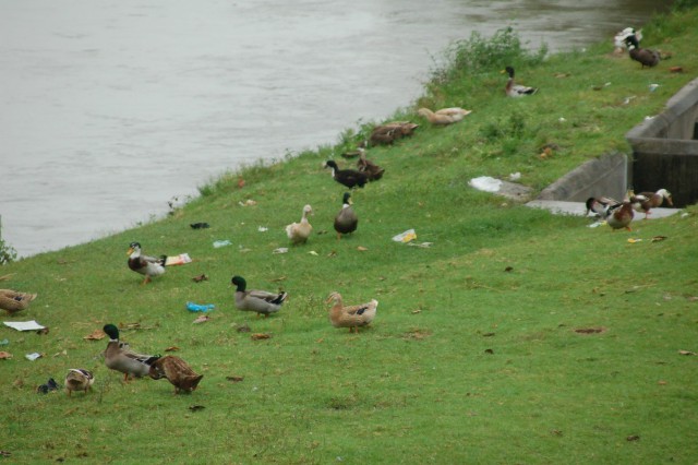 Тибет