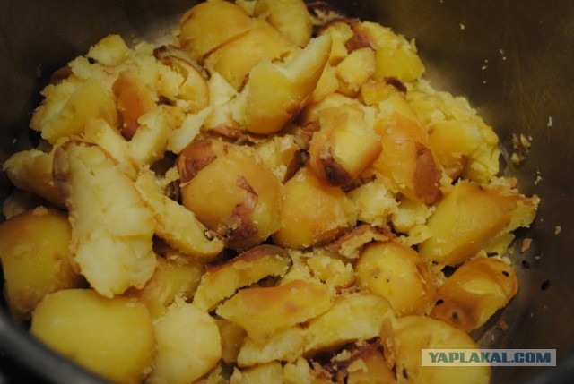 International одной книги., В память о Дженибеке.