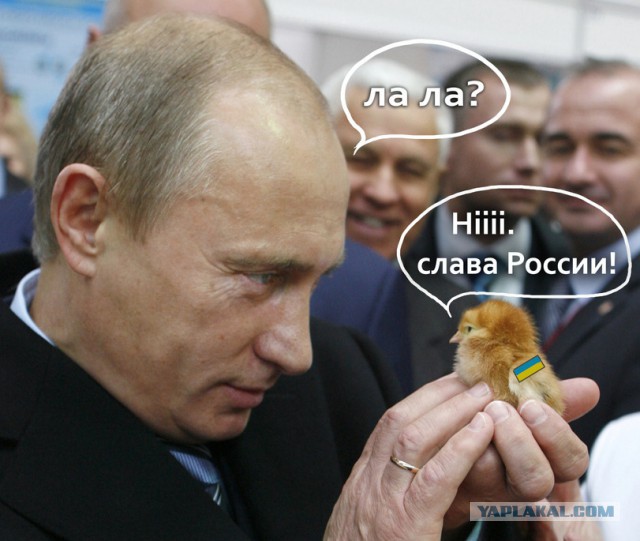 Война не повод для смеха, но....