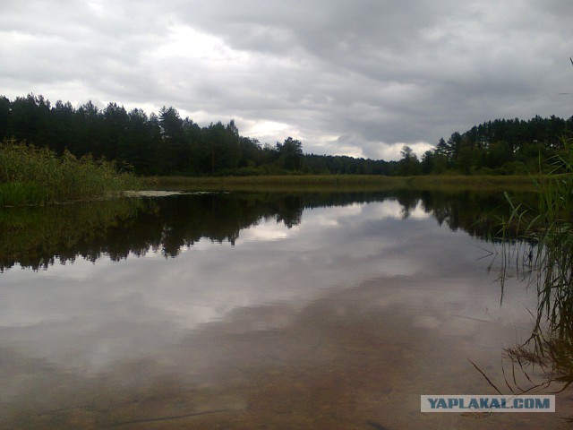 Последнее фото с Вашего телефона.