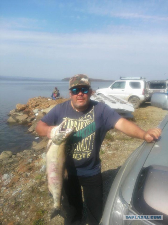 Кета под маринадом