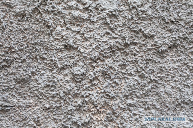 7 минут тренировок, которые изменят твое тело