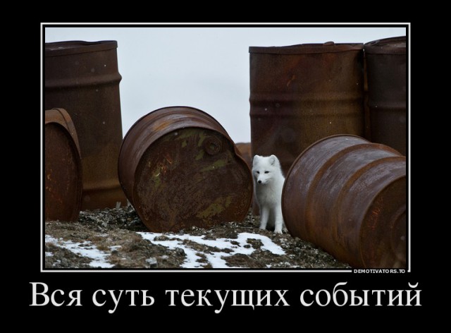 Я смотрю народ у нас слегка "опух", От хорошей жизни