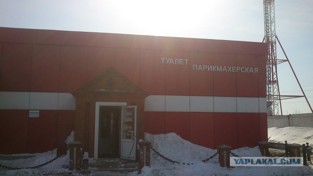 Забавные картинки из Сети