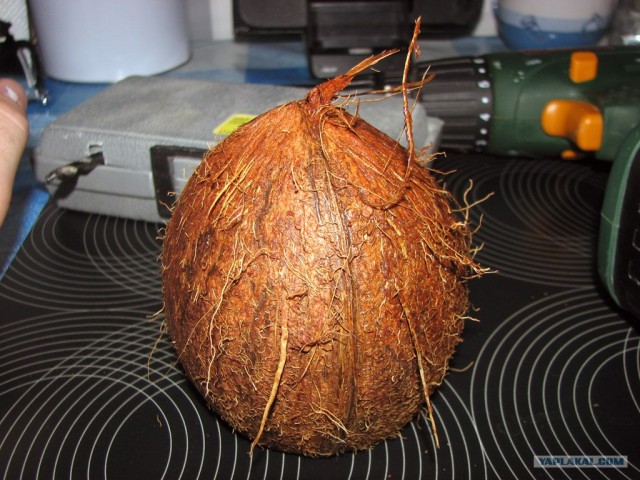 Кокосовый дом