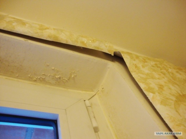 Жизнь в новостройке