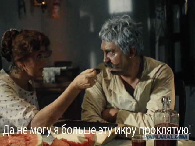 Японка Мики на русской даче пробует шашлык