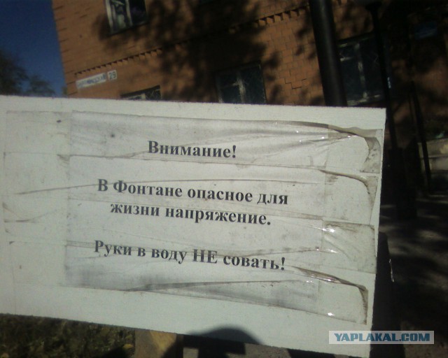 Только у нас