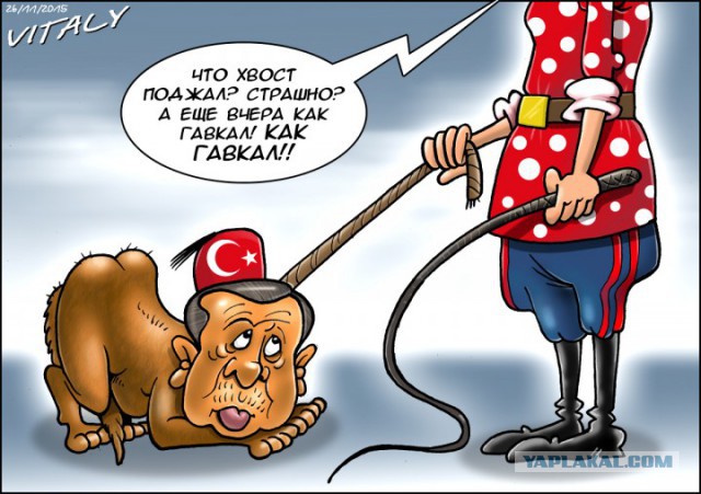 Визит Эрдогана в Москву