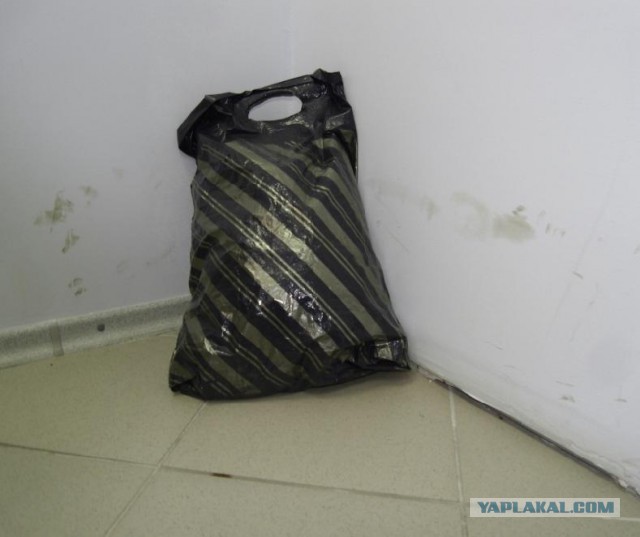 Мужской и женский подход к упаковке подарков