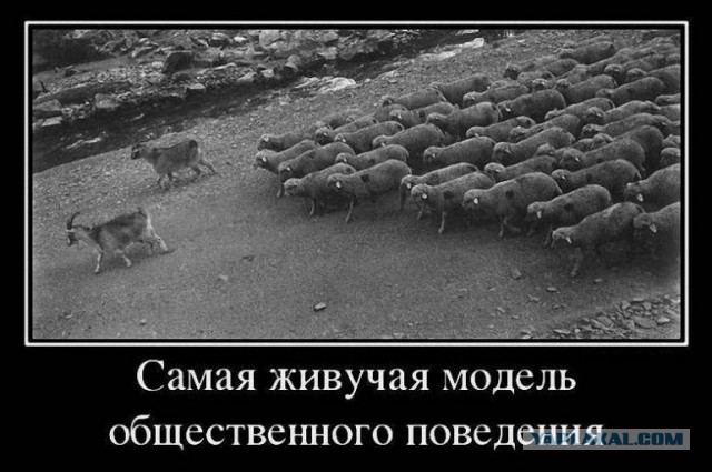 Курская Дуга. Случайное совпадение или игра ва-банк?