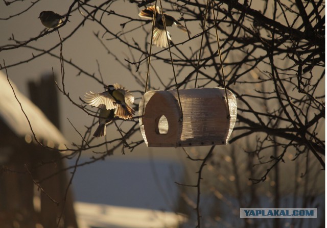 Я узнал, что у меня есть огромная семья