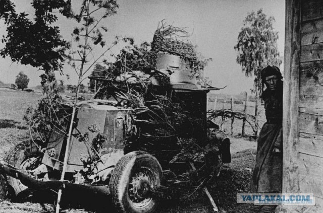 Фотографии с войны