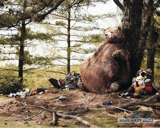 Подборка красивых картинок