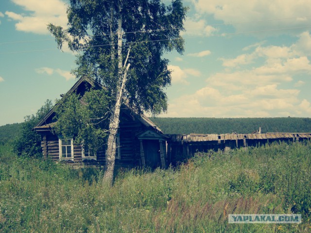 Подборка "тёплых, уютных, домашних" фотографий. Часть 2