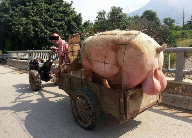 Пришел в гараж, а там