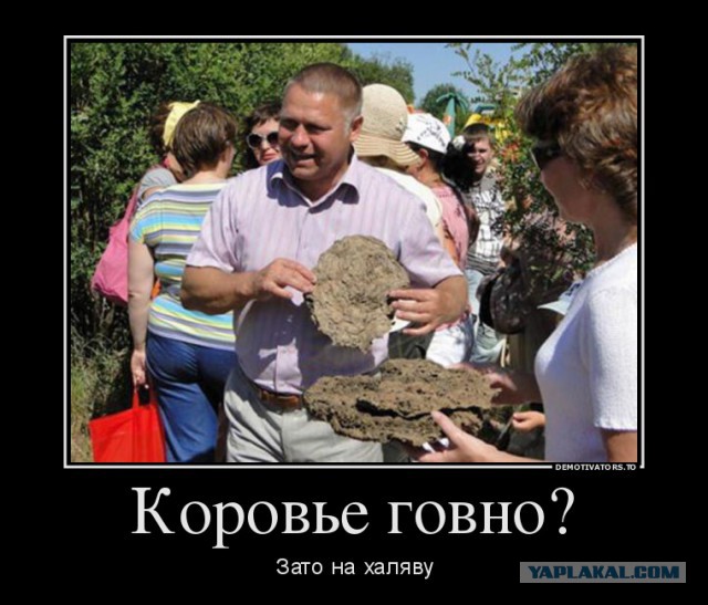 Новая раздача халявы в Нижнекамске