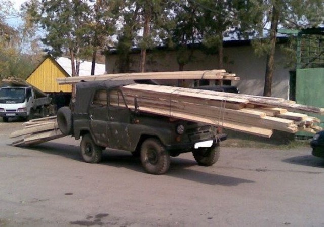 Картинки и приколы из сети