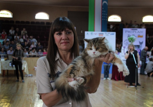 «Осенний Кошкент-2016»