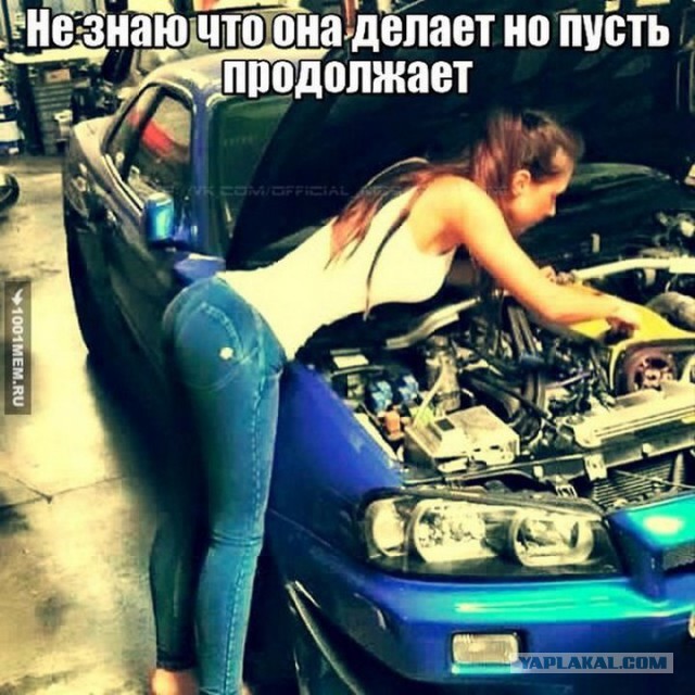 Девушки на хозяйстве