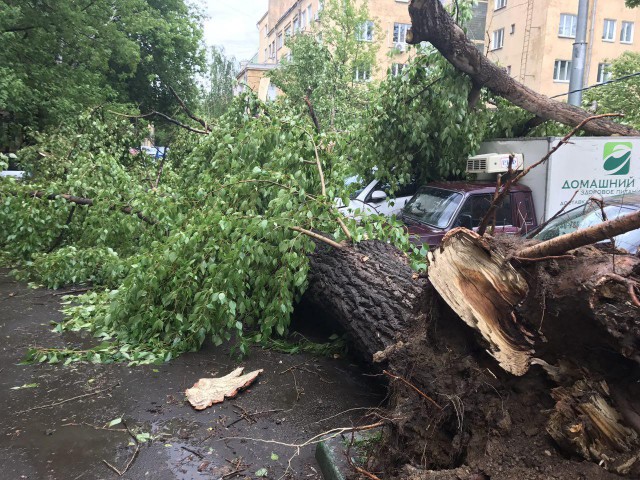 В Москве ураган!