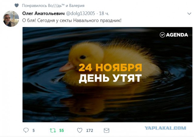 Смешные комментарии из социальных сетей 01.12.2017