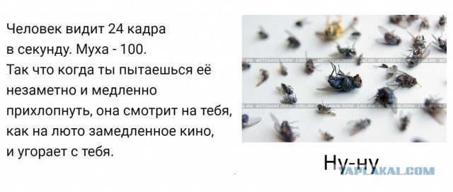Околонаучный юмор