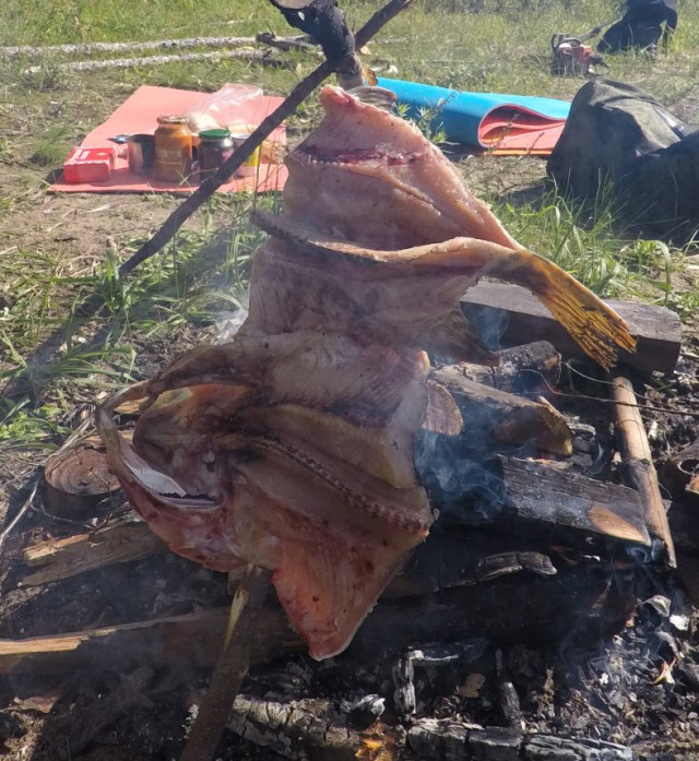 Ещё раз про Коктал.