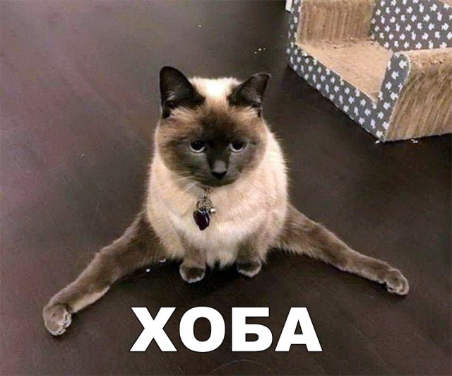Прикольные картинки абавсём