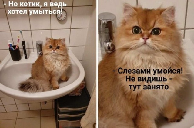 Немного картинок с надписями и без - 14