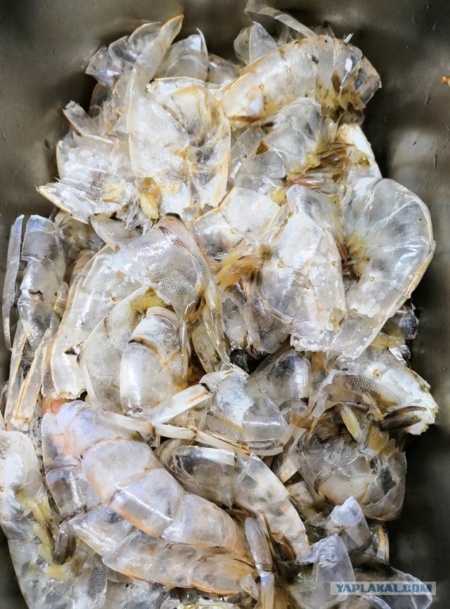 Биск из речных раков