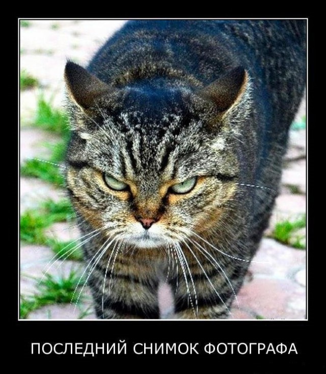 Немного картинок для настроения 16.05.20