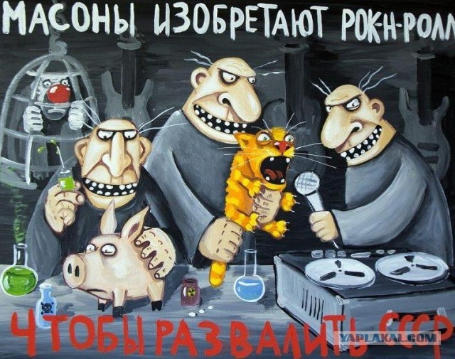 Не знаю, что делать - мелкий черный кот