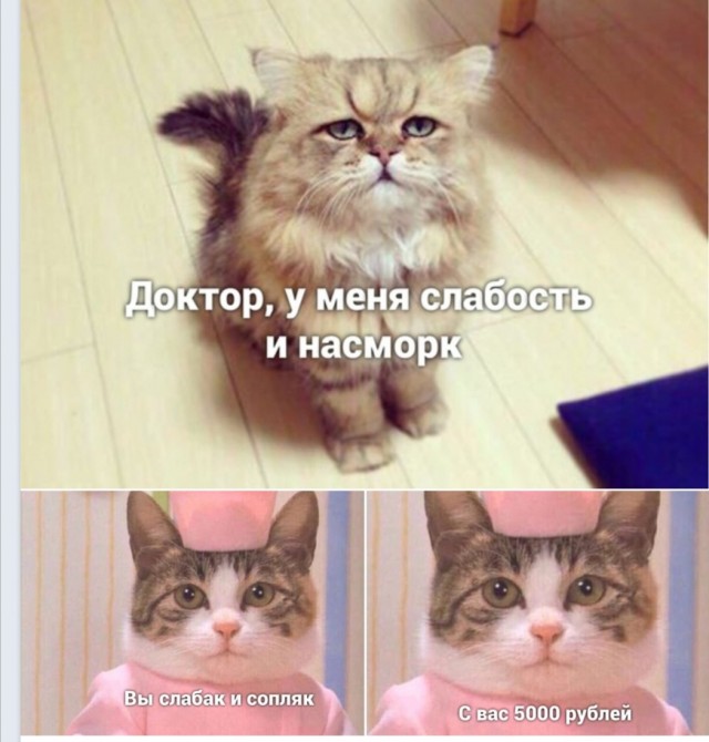 Достойно ли мужчине - просить разрешение купить себе пива?