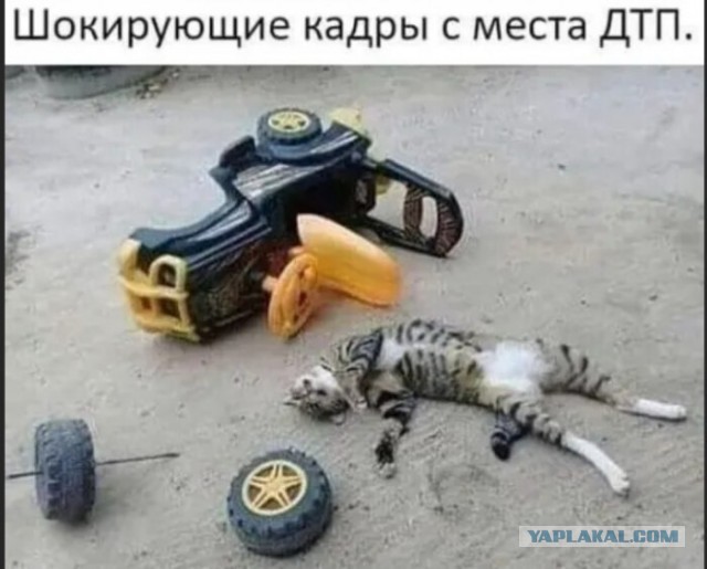 Просто картинки!