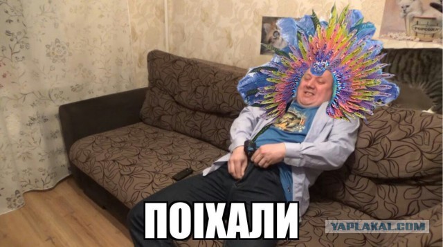 Карнавальных птичек пост