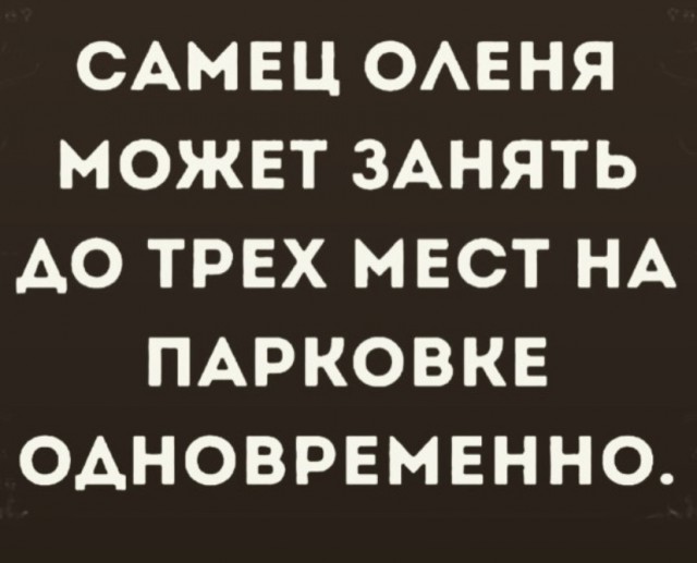 Так себе картинки 30.05.21