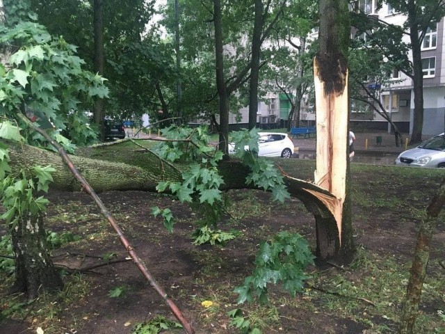 Многие москвичи ждали освежающий дождик и приятную прохладу, а получили ливень, град и порывы ветра