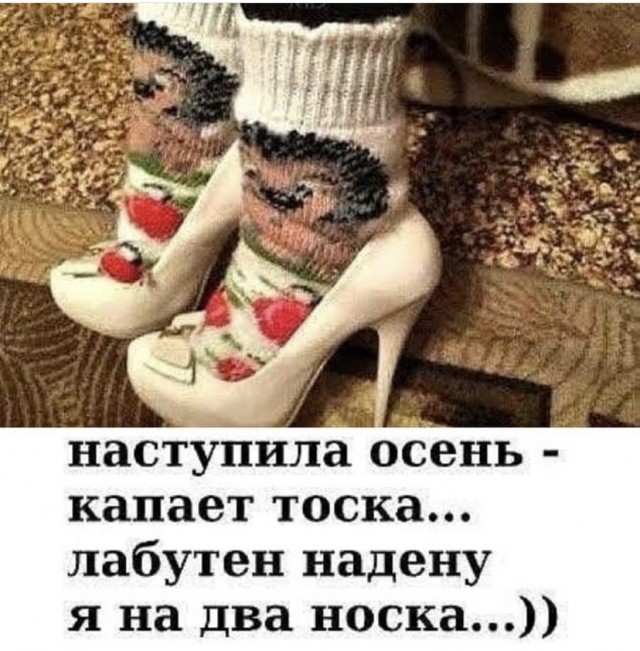 Похолодало картинки прикольные смешные с надписью