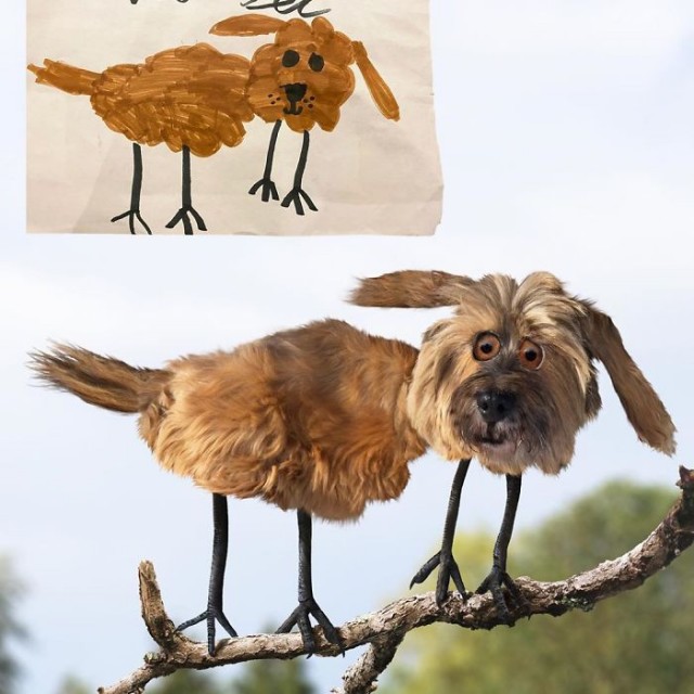 Я художник, я так вижу