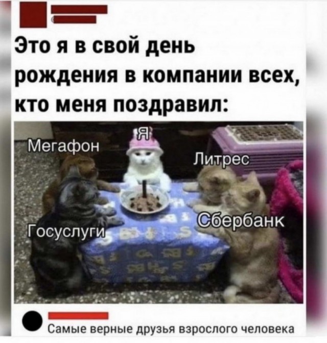 "Купил коту игрушку" и другие картинки