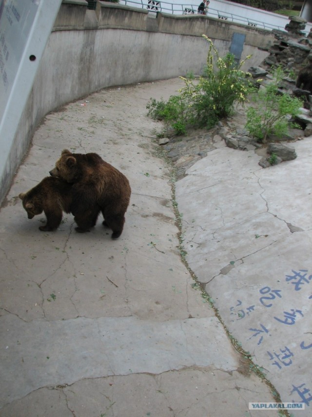 100 фактов о Китае.